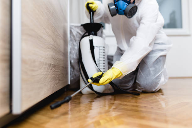 Best Pest Control Treatment  in Bronxville, NY