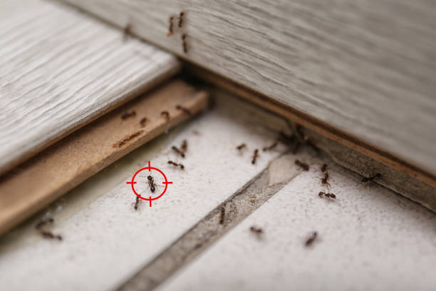 Pest Control for Restaurants in Bronxville, NY