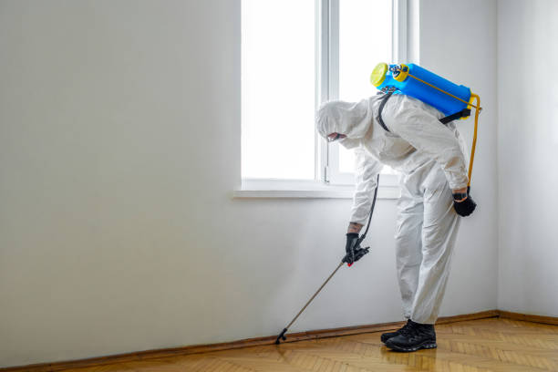 Best Rat Extermination Near Me  in Bronxville, NY
