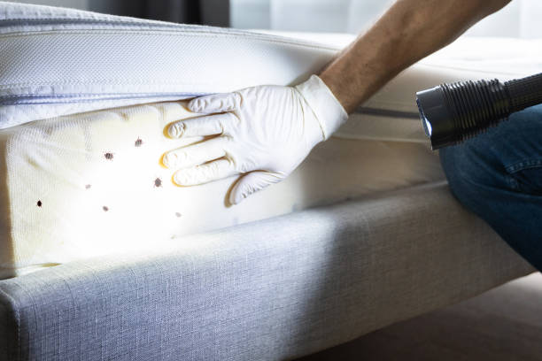 Best Wildlife Control Services  in Bronxville, NY